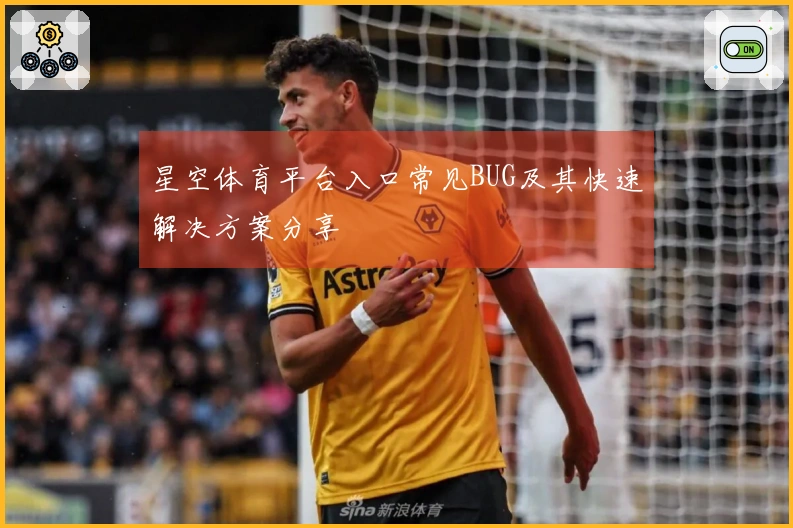 星空体育平台入口常见BUG及其快速解决方案分享